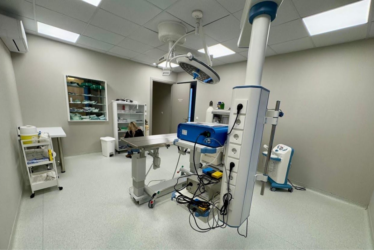 Cat and dog surgical procedures.