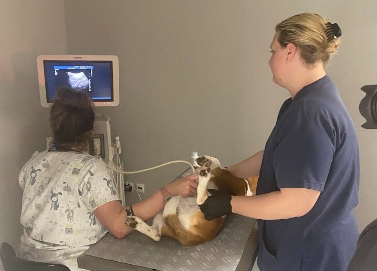 Symviosis team members at work on Syros.